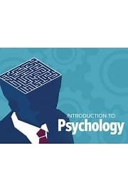 Watch Introduction to Psychology Season 1 Episode 14 - How Language Develops and Why It Matters