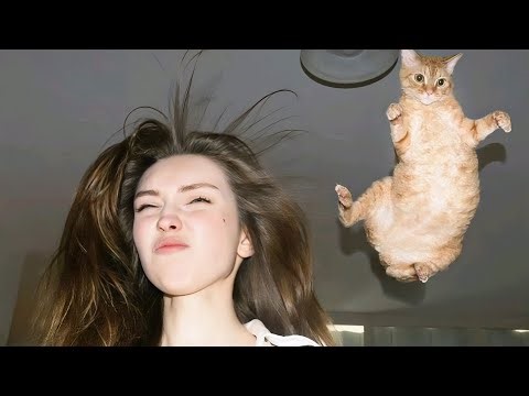 damienfarron x XATASHI x TH3 KXD - WAKE UP