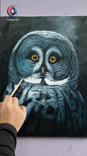 Draw a realistic owl oil painting in 30 minutes！
