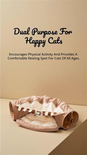 Transform Playtime with Feline Fun Tunnel!