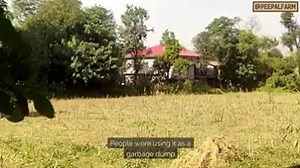 677K views · 6.1K reactions | They tell us to study, get a job, make money, get married, get a house, buy a car. But then what? Maybe that's why lately quite a few people seem to be interested in my story. Why and how I ended up doing what I do now," says Robin Singh of Peepal Farm. Watch him share his story. To know more, read his story here: https://www.thebetterindia.com/119458/peepal-farm-robin-singh-dharamshala-himachal-organic-farming-animal-welfare/ | TheBetterIndia | Facebook