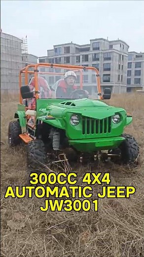 300cc 4x4 go kart jeep