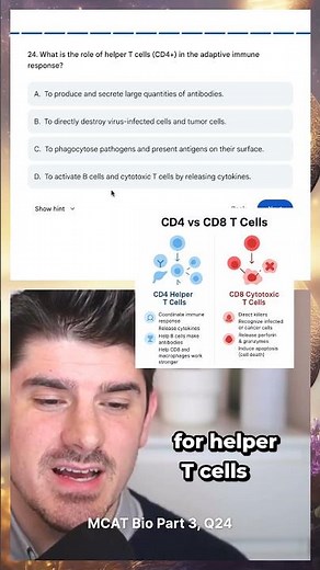 What is the role of helper T-cells - CD4+ vs CD8+ T cells in immune system - biology on the MCAT