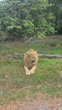 VinWonders Phu Quoc Safari Tour