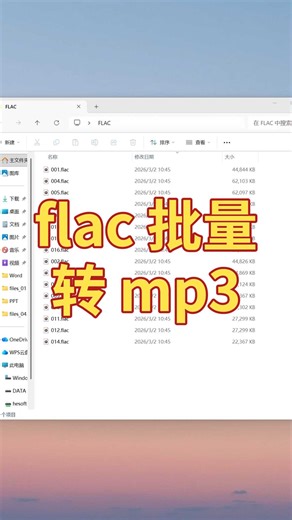 FLAC 批量转 MP3，新手零门槛教程