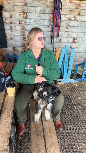 Did you know we sell puppy dog tails? This one is almost ready to detach itself! 🤣 | Puppy PlayBarn Dog Behaviour & Training