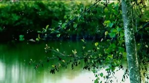 Zukunft ohne Menschen (S01E03) - Naturgewalten