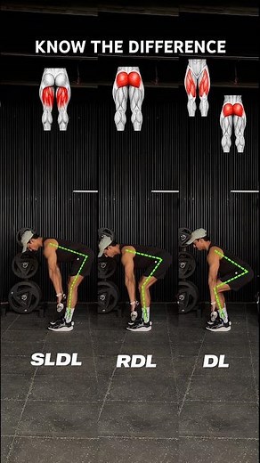 🟢HIP HINGE VARIATIONS❗️
