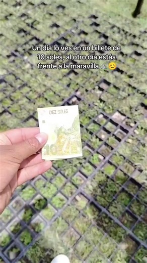 Maravillas del Mundo: Descubre 10 Soles