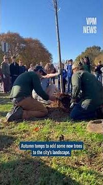 🍂 Tree time in the River City 🍂