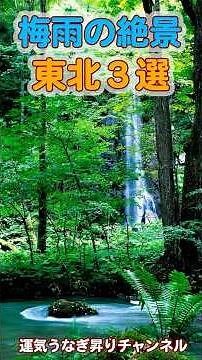 雨だからこそ美しい東北の絶景3選｜梅雨限定の癒し旅 #運気うなぎ昇りチャンネル #梅雨の絶景 #東北旅行 #奥入瀬渓流 #白神山地 #みちのくあじさい園 #日本の風景 #自然に癒される