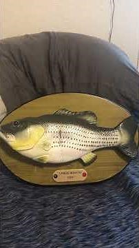 Large Mouth Lou Singing Fish (With Billy Bass Mech)