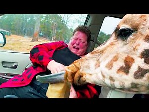 PEOPLE VS WILD ANIMALS | Funny Animal Videos Caught on Camera