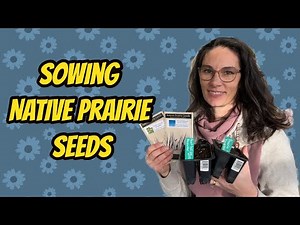 Growing Prairie Native Flowers & Living Prairie Museum