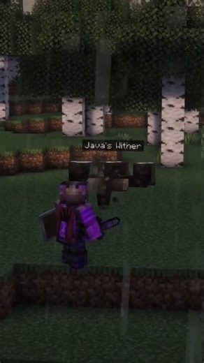 bedrock wither solo java wither #minecraft #fyp #gameplay