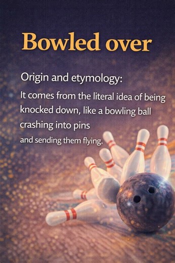 Bowled over meaning — Extremely impressed or surprised