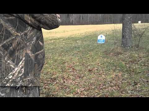 .22 pump rifle. Stevens visible loader