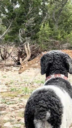 Ripley watches Bucky