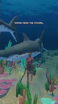 101 Raft Tips S2E62: Difficulties