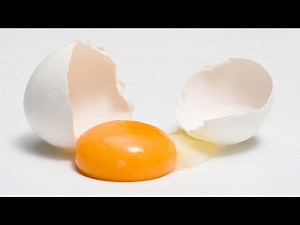 【LOST EGG 2】視聴者参加型不破湊の" 相棒 "決定戦【不破湊/にじさんじ 】