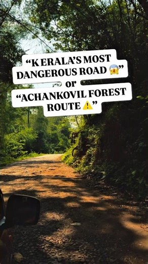 achankovil forest route #achankovil #keralawildlife #youtubeshorts #naturelovers #forestdrive #wild