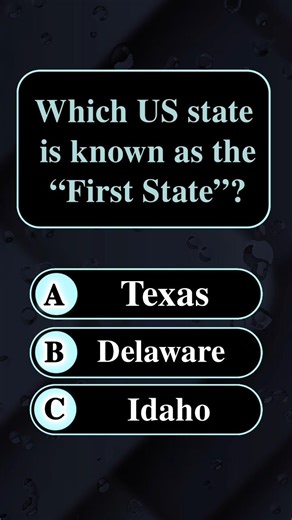 Which US state is known as the First State?