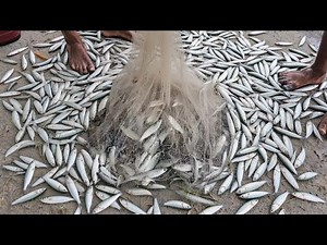 The fishing net could barely hold all the fish.