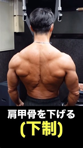 肩甲骨の様々な動き