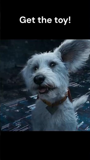 Best scenes with Krypto- Supergirl`s dog!