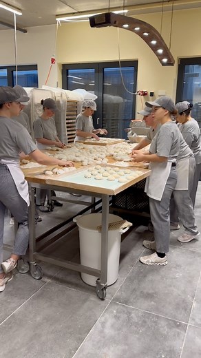 676K views · 2.6K reactions | Wir sind stolz auf unser Team! Denn selbst wenn es Hürden gibt wird alles daran gesetzt diese gemeinsam zu meistern. Um es in Georg‘s Worten zu sagen: „Geht scho!“ #germanenglish #authentisch #wien #essen #backen #austria | Öfferl - Brote mit Charakter | Facebook