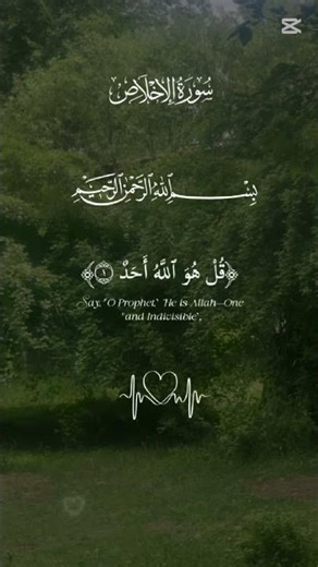 listen to Quran for 30 seconds #قرآن #quran #subscribe #support #1million #1000subscriber