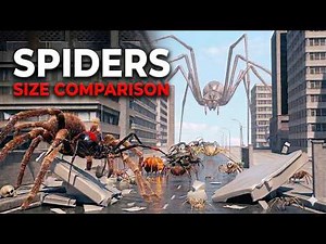 Real Spider vs Movie Spider 😱 (Insane Size Comparison 3D)