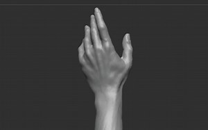 【手雕刻教程】Sculpting hands in ZBrush