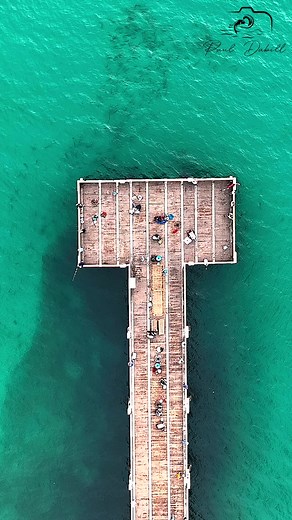 19K views · 349 reactions | Mesmerizing time-lapse of fish around the Juno Pier | Paul Dabill Photography | Facebook