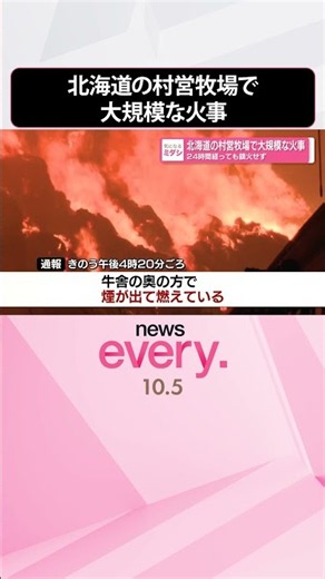 【北海道の村営牧場】大規模な火事 24時間たっても鎮火せず #shorts