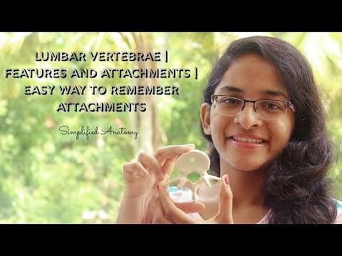 LUMBAR VERTEBRAE | FEATURES AND ATTACHMENTS | ANATOMY | SIMPLIFIED ✔