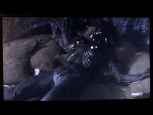 Species 2 -- Patrick Monster