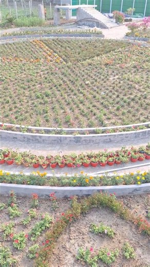 মন দুয়ারী