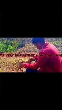 #class12geography #boardexam2025 #geographyanimation human geography Nature & scope2x sociosea