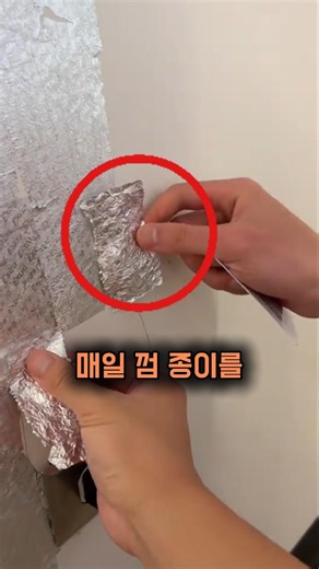 100일동안 교실 벽에 껌종이를 붙인 학생들의 결말