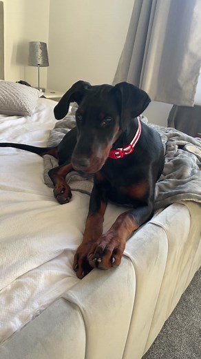 Not so little Luna is back & she’s 5 months now!