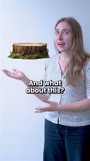 Do You Know These Tree Words? #learnenglish #spokenenglish #english #vocabulary #viralshorts