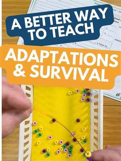 Engaging Adaptations and Survival Lab Activity