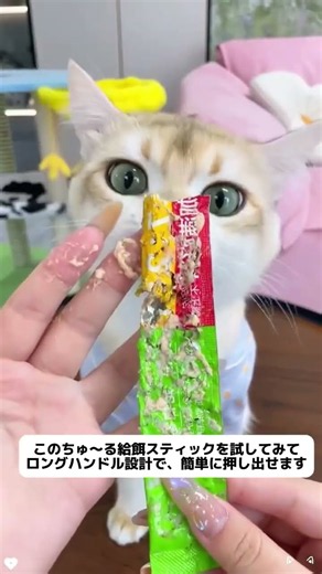 ちゅーるは大好き。 でも手が汚れるのは嫌🐱 便利ホルダーで快適に。#ちゅーるホルダー#暮らしを楽しむ#猫のいる暮らし#猫との暮らし#猫のお世話
