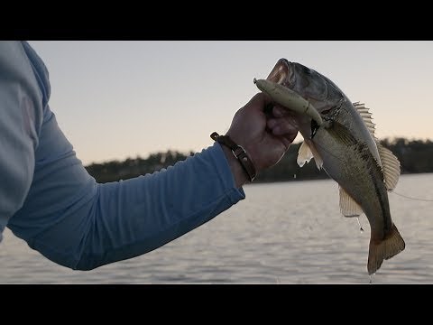 5 Tips to Catch More Bass on the Whopper Plopper