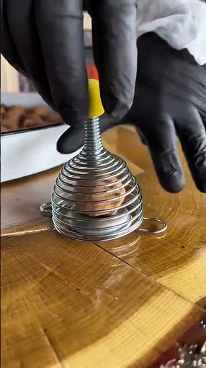 Cracking a hard walnut shell quickly and easily with a manual metal spring nutcracker tool