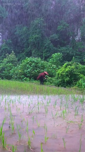 Amazon Hauls And Finds (@amazonhaulsandfinds)’s videos with original sound - Amazon Hauls And Finds