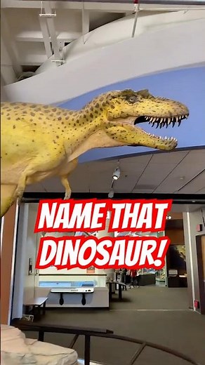 Insanely cool dinosaur exhibit at the ‪@SDNaturalHistory‬