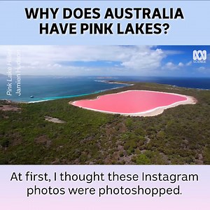 Hot pink is not a colour your brain would naturally match with water, yet Australia is home to hundreds of pink lakes. Why? | ABC Science