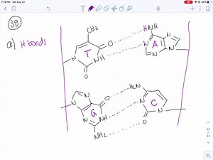 SOLVED:Triethylenemelamine (TEM) is an antitumor agent. Its activity is due to its ability to cross-link DNA. a. Explain why it can be used only under slightly acidic conditions. b. Explain why it can cross-link DNA.